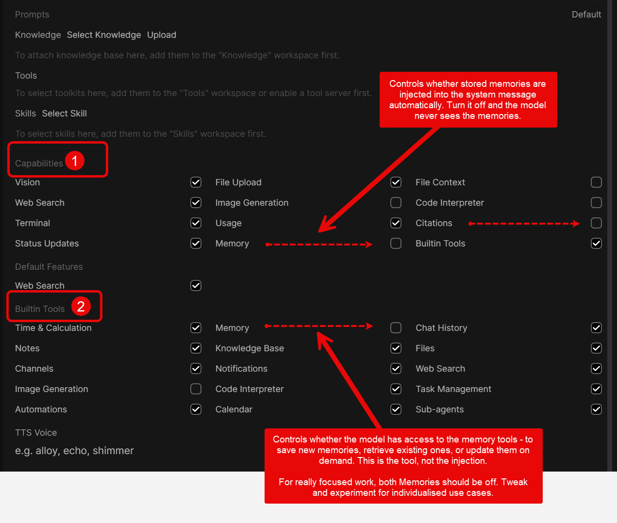 Annotated settings screen explaining memory capability controls